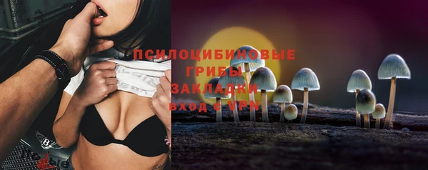 гидропоника Балабаново