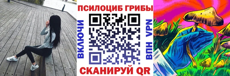 Купить  Никольское  Галлюциногенные грибы прущие грибы 